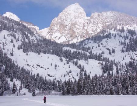 Jackson Hole Wyoming Snowshoeing