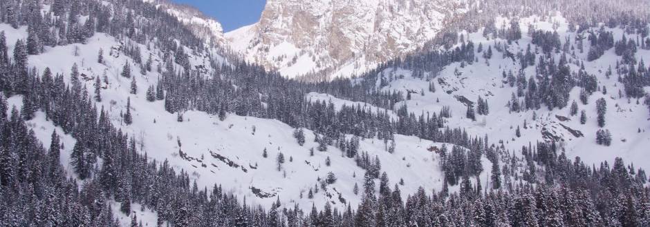 Snowshoeing in Jackson Hole